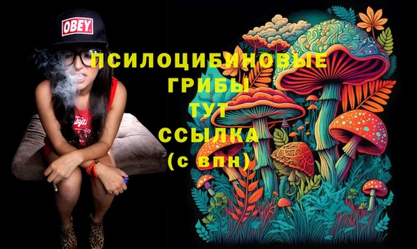синтетический гашиш Мурманск