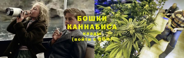 мдпв Протвино
